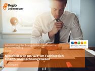 Mitarbeiter:in (m/w/d) im Fachbereich Finanz- und Rechnungswesen - Stuttgart