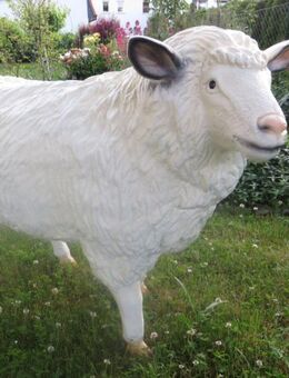 Schaf mollig lebensgroß Dekofigur Gartendeko Deko - Hergisdorf