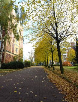 Kapitalanlage : Renditestarke 3 Zimmer mit Aufzug, unweit der Ostsee - Rostock