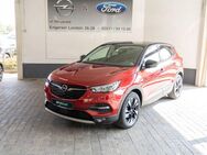 Opel Grandland X , Rückfahrkamera, Sitzheizung - Koblenz