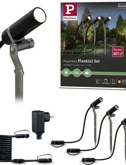 Paulmann LED Gartenstrahler Plug & Shine, Plug & Shine, LED fest integriert, Warmweiß, LED-Modul, 3000K 24V Anthrazit