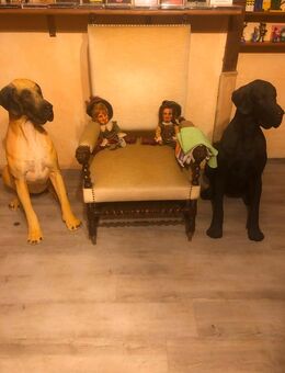 Biete sagenhaften Stuhl aus altem Norddeutschen Herrenhaus an - Hemer