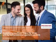 Ausbildung Kauffrau/-mann für Groß- und Außenhandelsmanagement (m/w/d) - Stuttgart