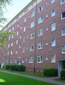 Das Glück hat ein Zuhause: 2-Zimmer-Citywohnung - Kiel