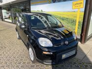 Fiat Panda, GSE Hybrid Fenster el, Jahr 2024 - Kloster Lehnin