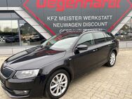 Skoda Octavia Combi 1.4 TSI Joy DSG NAV Xenon AHK - Mönchhagen