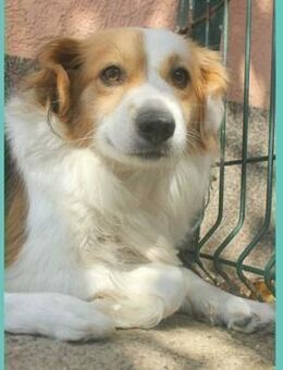 wunderschöne LOTTA - Mamming