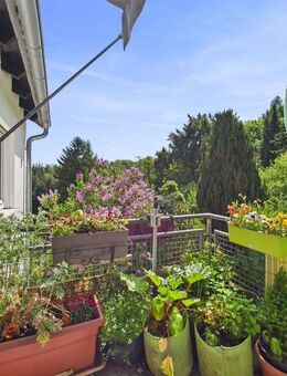 Schmitten-Brombach: Attraktive Wohnung im Grünen! - Schmitten