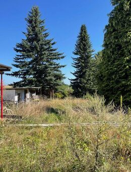 *Teilsanierte u. renovierungsbedürftige Doppelhaushälfte in ruhiger & grüner Lage mit Ausbaureserve* - Arnsdorf