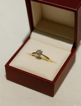 Brillantring aus 585er-Gelbgold Brillant 0,10 ct. - Herne