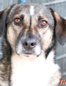 TIMIDA - so hübsch - Regensburg