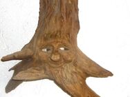 Altes Wurzelgesicht Schnitzerei Holz Wurzelsepp Wanddeko Top - Amberg