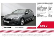 Skoda Octavia, 2.0 TDI Combi, Jahr 2023 - Emsdetten