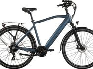Adore E-Bike Trekkingrad ATR-190, 24 Gang Shimano Tourney Schaltwerk, Kettenschaltung, Heckmotor, 460,8 Wh, Pedelec, Elektrofahrrad für Herren