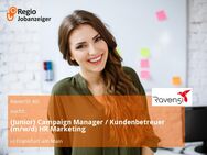 (Junior) Campaign Manager / Kundenbetreuer (m/w/d) HR Marketing - Frankfurt (Main)