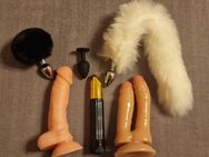 Sexpspielzeug, Dildos, Plugs usw. - Haldensleben