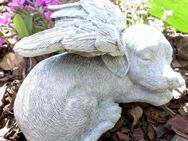 Gartenfigur, Tiergräber Figur Hundegrab mit Flügel, Grabschmuck Tiergrab Hund - Uslar Zentrum