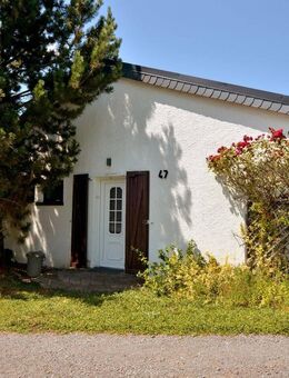 Ihr Ferienhaus, das Ruhe, Poesie, Natur und ein Abschalten auf den Höhen über Daun ermöglicht - Daun