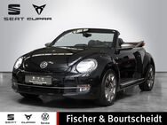 VW Beetle, 1.4 TSI Cabriolet Karmann, Jahr 2016 - Lohmar