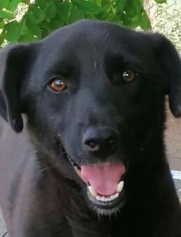 Luca - Rotenburg (Fulda)