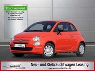 Fiat 500 1.0 GSE Hybrid Cult //Klima/DAB - Thannhausen