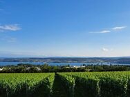 schöne Eigentumswohnung in Überlingen mit Seeblick Bodensee - Überlingen