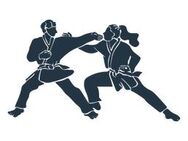 Trainingspartnerin gesucht für Jiu Jitsu - Plauen