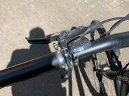 Fahrrad Koga Serie 1 gebraucht zu verkaufen - Duisburg