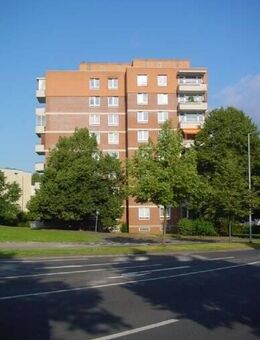 3 Zimmer Wohnung - Hildesheim