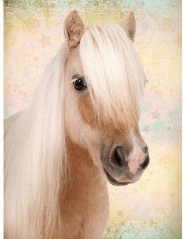 Reinders! Poster Pony Liebe, (1 St)