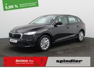 Skoda Scala, 1.0 TSI Selection, Jahr 2024 - Würzburg