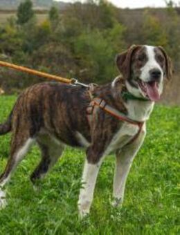 Lara ein kleiner Schatz ..... - Berlin