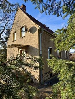 Panorama pur - Wohnhaus über den Wiesen von Remda - Remda-Teichel