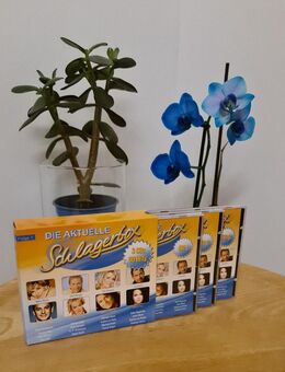 Aktuelle Schlagerbox 2008 3 CDs 50 Hits Schlager Songs Sony Music Hamburg - Essen