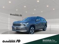 Skoda Kodiaq, Selection 142kw TDI °, Jahr 2024 - Niestetal