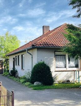 Einfamilienhaus in ruhiger Sackgassenlage. - Ebstorf (Klosterflecken)