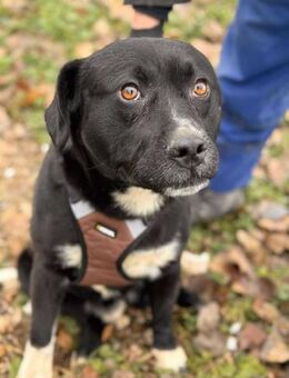 Tabito sucht sein Glück für immer - Berlin