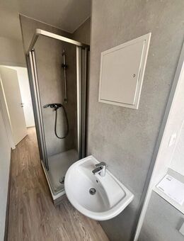 Lichtdurchflutete, neu renovierte 2 Raumwohnung in Colditz. - Colditz