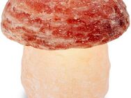 HIMALAYA SALT DREAMS Salzkristall-Tischlampe Pilz, Leuchtmittel wechselbar, Warmweiß, Handgefertigt aus Salzkristall - jeder Stein ein Unikat, H: ca.16 cm