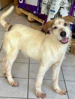 Herzensbrecher Cluso - Hückelhoven