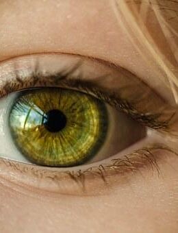 Forever iVision * Vitamine für gestresste Augen * hier mit 15% Rabatt - Berlin