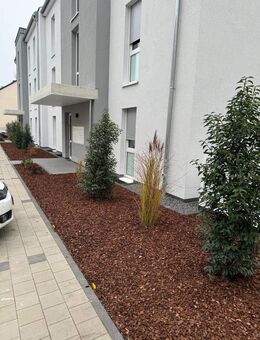 Kapitalanlage Provision Frei - Bitburg