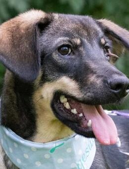 Flops aktiver Jungspund - Obertshausen