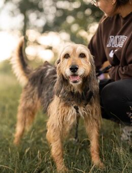 Tilda - Hemmoor