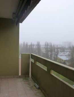 4 ZKD Frankenthal Balkon - Frankenthal (Pfalz)