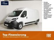 Fiat Ducato, 140 MT L3H2 KaWa verblecht, Jahr 2022 - Pilsach