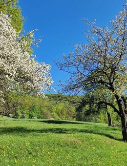 Traumhaftes Baugrundstück in idyllischer, sehr ruhiger Lage in Jena - Jena