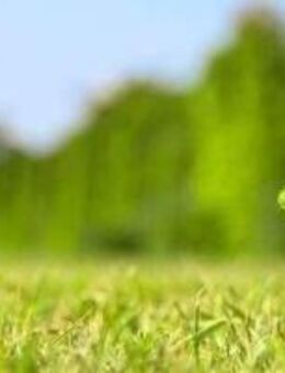 Zweifamilienhaus in guter Lage - Hildesheim