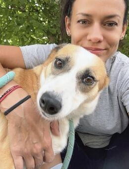Stets liebevoll + freundlich = DARCY♥️ - München