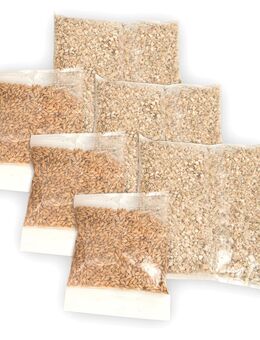 Catit Senses 2.0 Grassamen-Kit, 3er - Grassamen-Kit, 3er